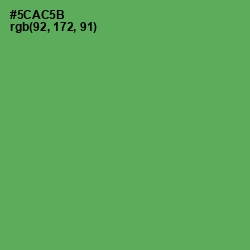 #5CAC5B - Fruit Salad Color Image