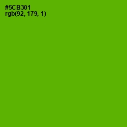 #5CB301 - Christi Color Image