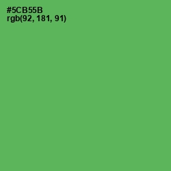 #5CB55B - Fern Color Image