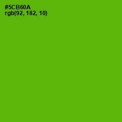 #5CB60A - Christi Color Image