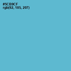 #5CB9CF - Shakespeare Color Image