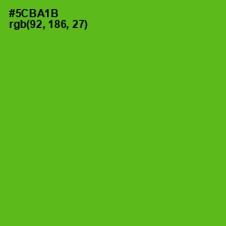 #5CBA1B - Christi Color Image