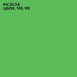 #5CBC5A - Fern Color Image