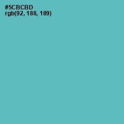 #5CBCBD - Fountain Blue Color Image