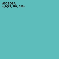 #5CBDBA - Fountain Blue Color Image