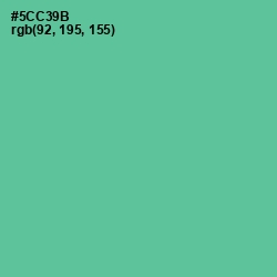 #5CC39B - De York Color Image