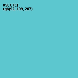 #5CC7CF - Viking Color Image