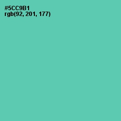 #5CC9B1 - De York Color Image