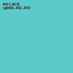 #5CCACB - Viking Color Image