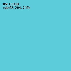 #5CCCDB - Viking Color Image