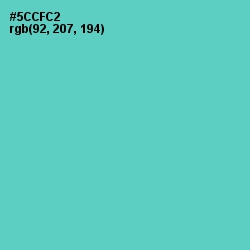 #5CCFC2 - Downy Color Image