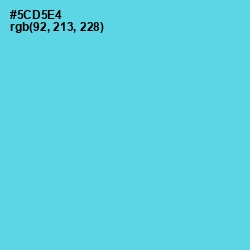 #5CD5E4 - Viking Color Image