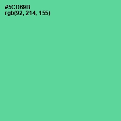 #5CD69B - De York Color Image