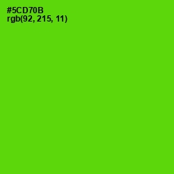 #5CD70B - Bright Green Color Image