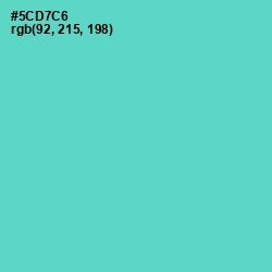 #5CD7C6 - Downy Color Image