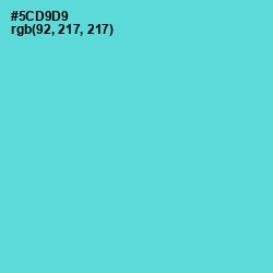 #5CD9D9 - Viking Color Image