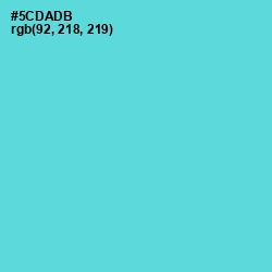 #5CDADB - Viking Color Image
