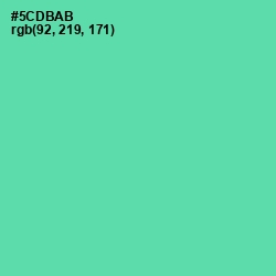 #5CDBAB - De York Color Image
