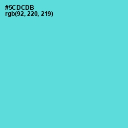 #5CDCDB - Viking Color Image