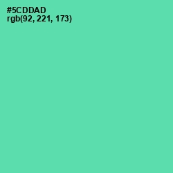 #5CDDAD - De York Color Image