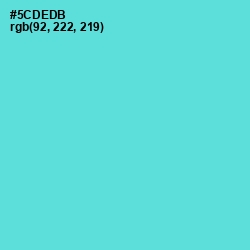 #5CDEDB - Viking Color Image