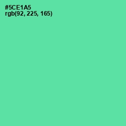 #5CE1A5 - De York Color Image