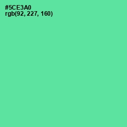 #5CE3A0 - De York Color Image