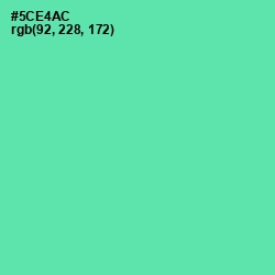 #5CE4AC - De York Color Image