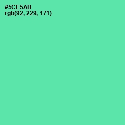 #5CE5AB - De York Color Image