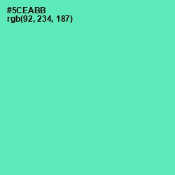 #5CEABB - De York Color Image