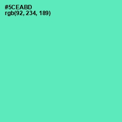 #5CEABD - De York Color Image