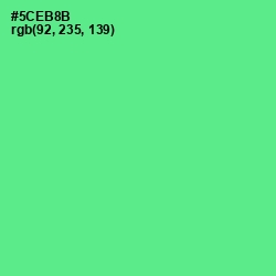 #5CEB8B - De York Color Image