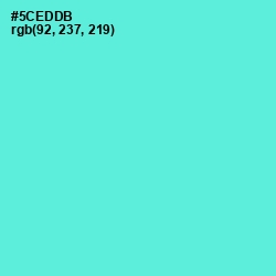 #5CEDDB - Turquoise Blue Color Image