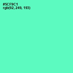 #5CF9C1 - Aquamarine Color Image