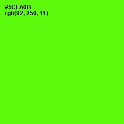 #5CFA0B - Bright Green Color Image