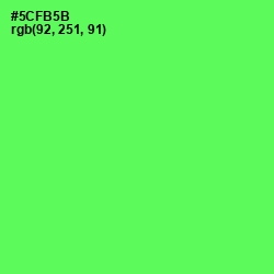 #5CFB5B - Screamin' Green Color Image