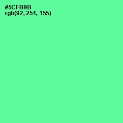 #5CFB9B - De York Color Image