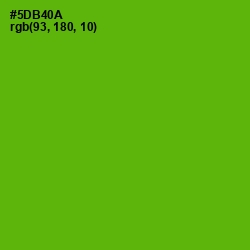 #5DB40A - Christi Color Image