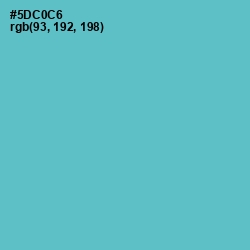 #5DC0C6 - Downy Color Image