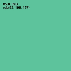 #5DC39D - De York Color Image