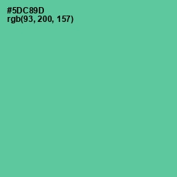 #5DC89D - De York Color Image