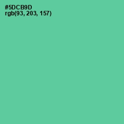 #5DCB9D - De York Color Image