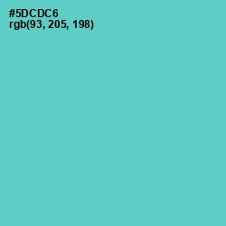 #5DCDC6 - Downy Color Image