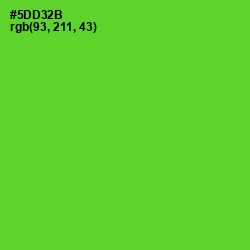 #5DD32B - Bright Green Color Image