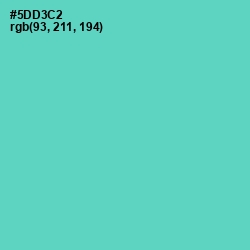 #5DD3C2 - Downy Color Image