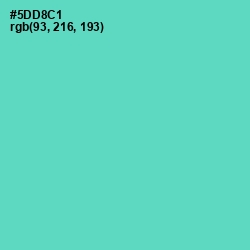 #5DD8C1 - Downy Color Image