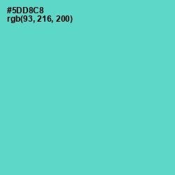 #5DD8C8 - Downy Color Image