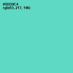 #5DD9C4 - Downy Color Image