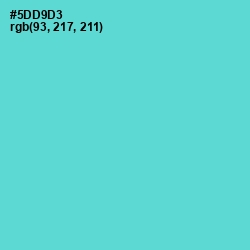 #5DD9D3 - Viking Color Image