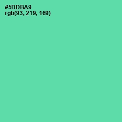 #5DDBA9 - De York Color Image